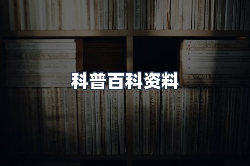 外文电子书系列